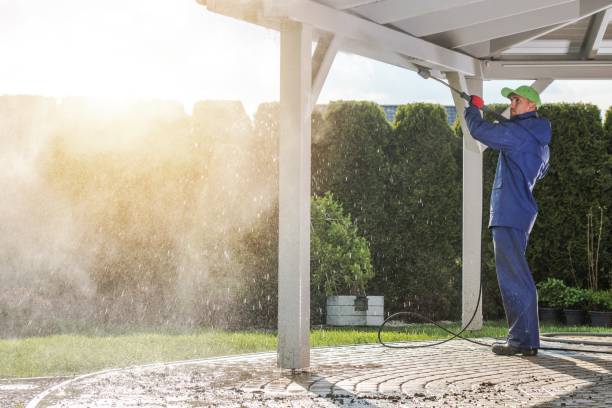 Best Spring Cleaning  in Locust Grove, OK